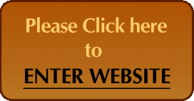 Professional Detectives Agency in New Delhi